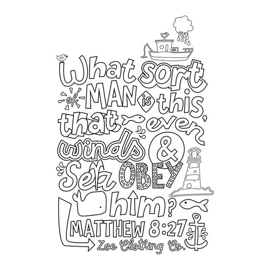 Winds and Sea Obey Him